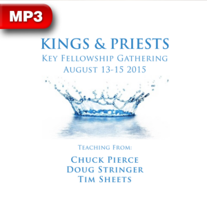 Kings & Priests Teaching Series